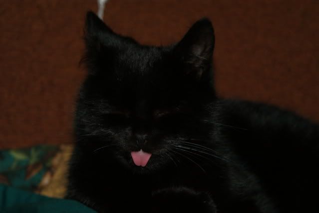 http://i277.photobucket.com/albums/kk41/LzzieIzzie/DSC00032.jpg