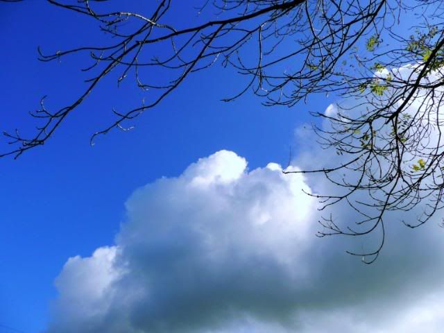 http://i277.photobucket.com/albums/kk41/LzzieIzzie/P1060914.jpg