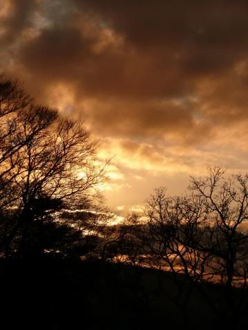 http://i277.photobucket.com/albums/kk41/LzzieIzzie/P1090279-2.jpg