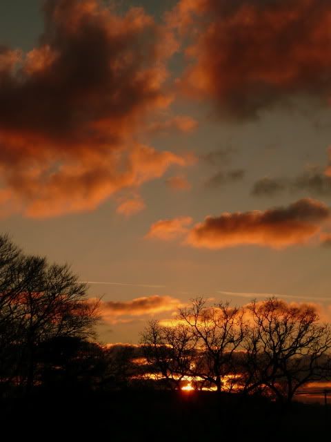 http://i277.photobucket.com/albums/kk41/LzzieIzzie/P1090324-1.jpg