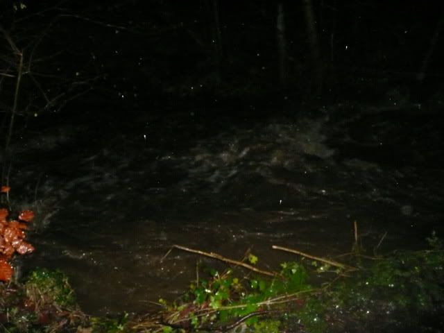 http://i277.photobucket.com/albums/kk41/LzzieIzzie/P1090593-1.jpg