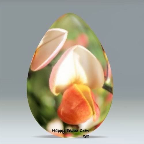 http://i277.photobucket.com/albums/kk41/LzzieIzzie/cf8677f40912b2e5_oa.jpg