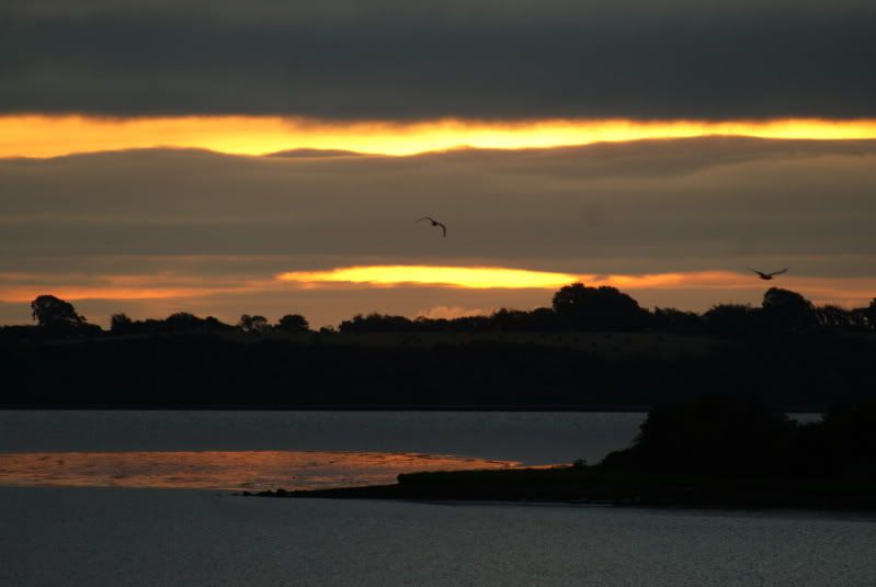 http://i277.photobucket.com/albums/kk41/LzzieIzzie/ireland/DSC06626.jpg