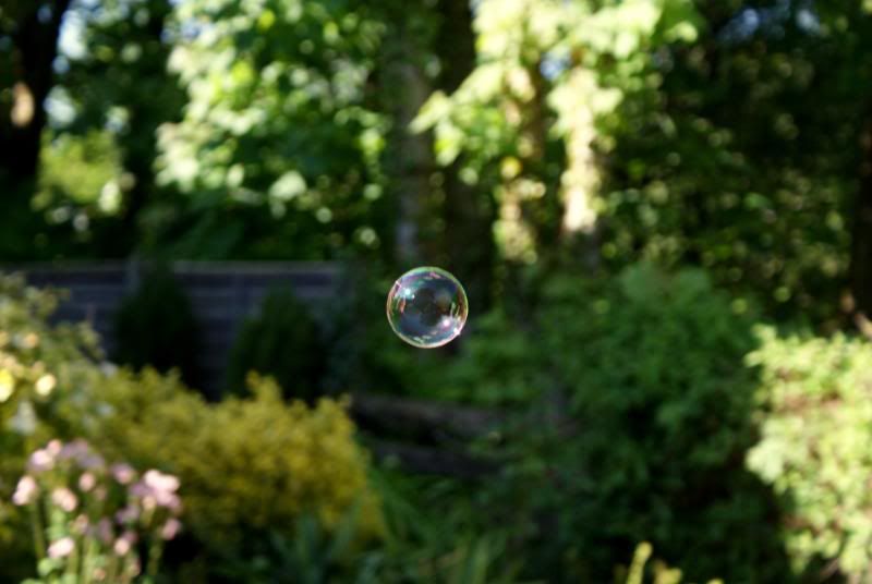 http://i277.photobucket.com/albums/kk41/LzzieIzzie/whatever/DSC04437.jpg