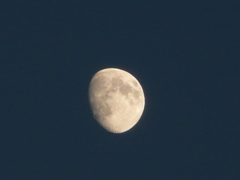 http://i277.photobucket.com/albums/kk41/LzzieIzzie/whatever/P1040793.jpg