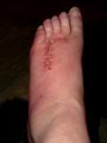 http://i277.photobucket.com/albums/kk41/LzzieIzzie/whatever/P1050005.jpg