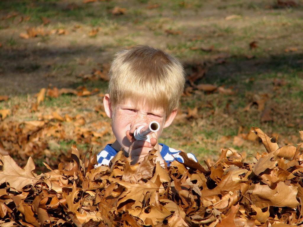 IMAGE: http://i277.photobucket.com/albums/kk42/rhodesinokc/IMG_2473.jpg