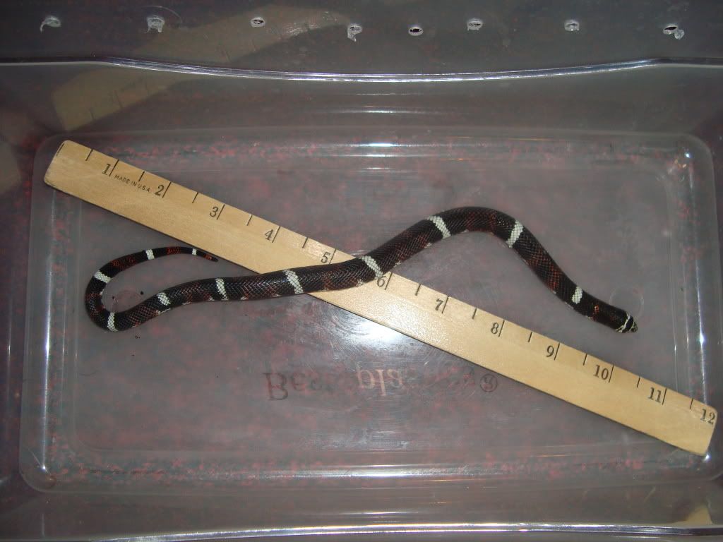 expo41109036.jpg