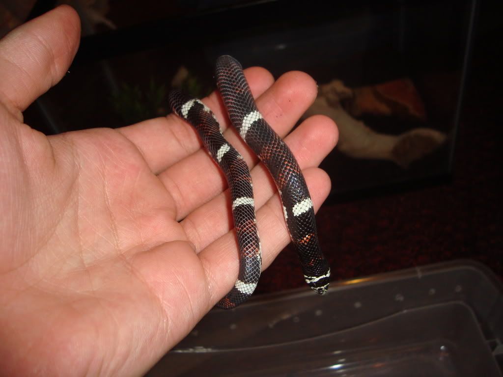 expo41109038.jpg
