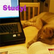 study