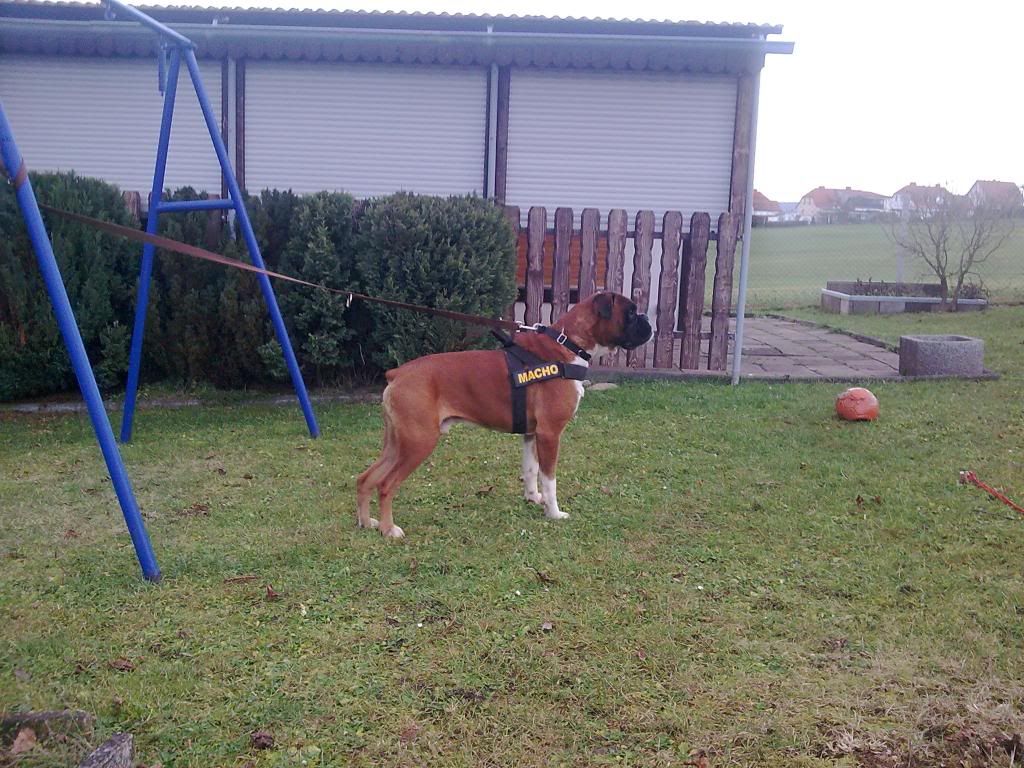 Bild0454.jpg