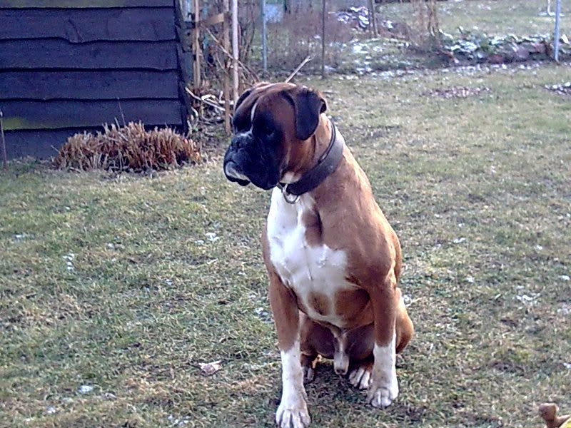 Bild0494.jpg