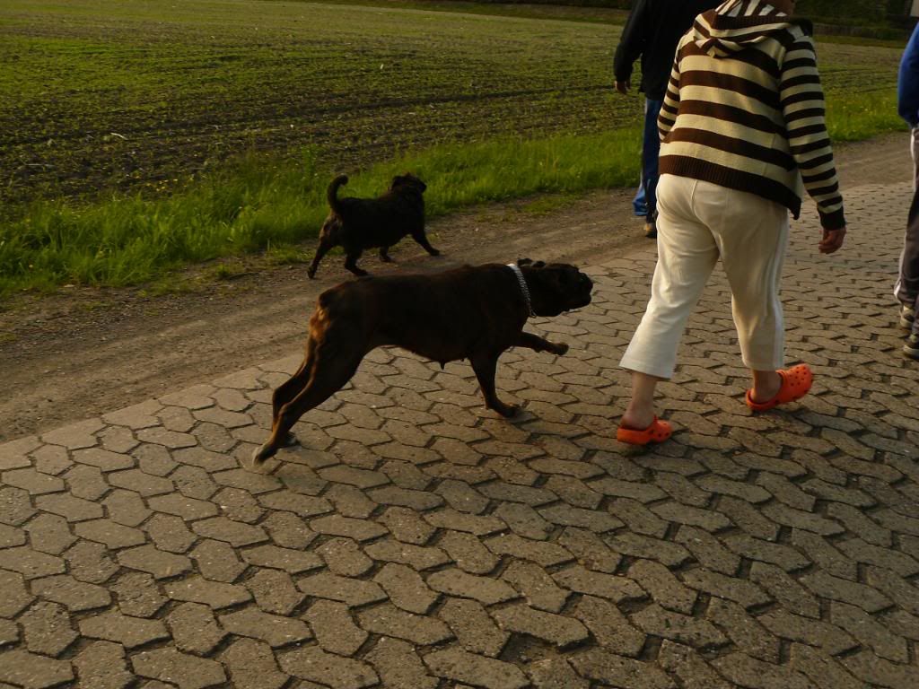 P1000782.jpg