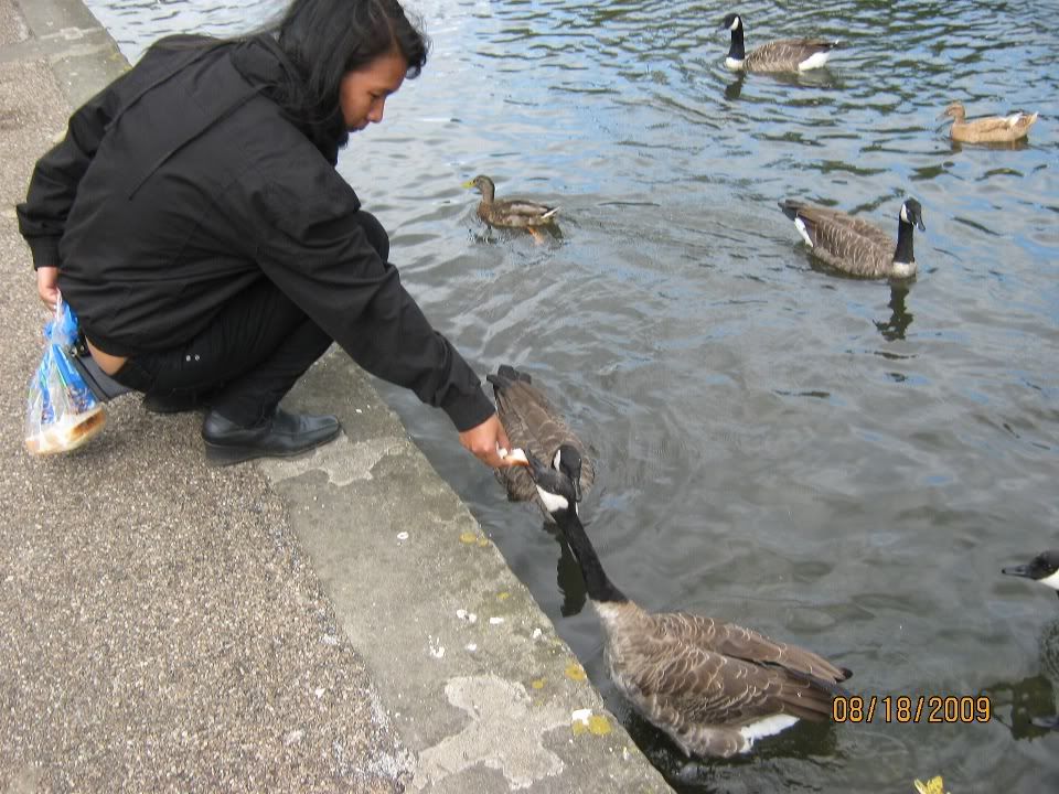 IMG_0942.jpg