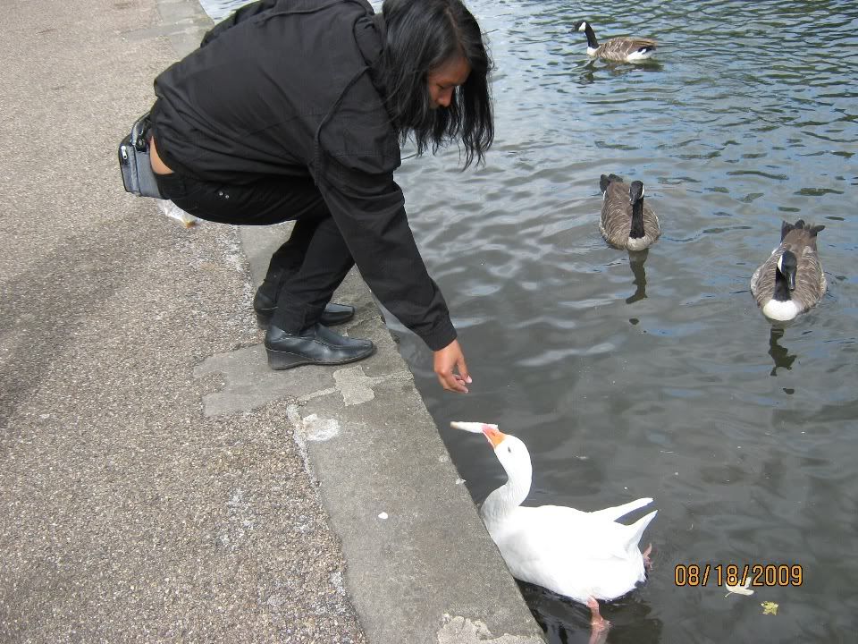 IMG_0943.jpg
