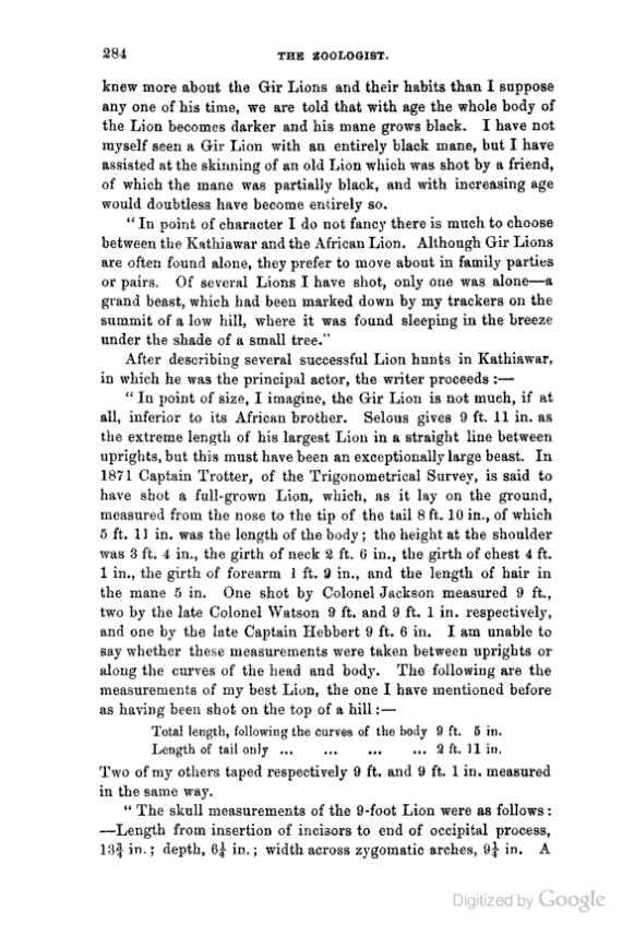 Similarities of lion and tiger brainly image