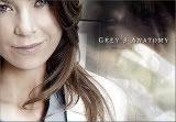 Greys anatomy