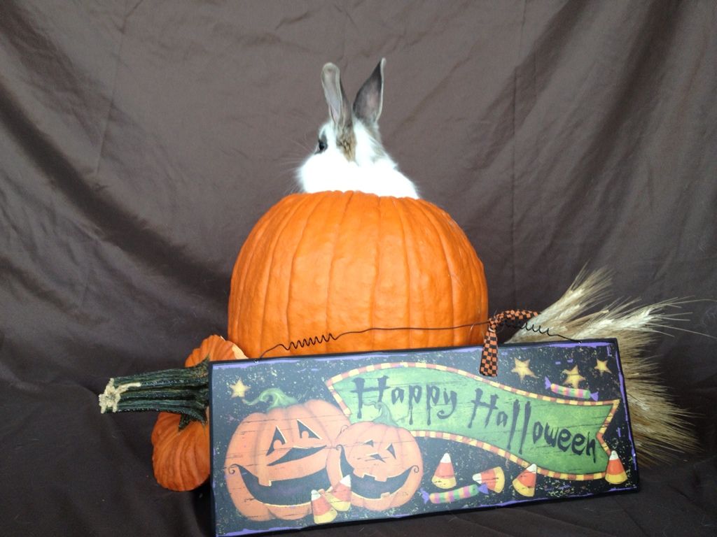 Uploaded from the Photobucket iPhone App