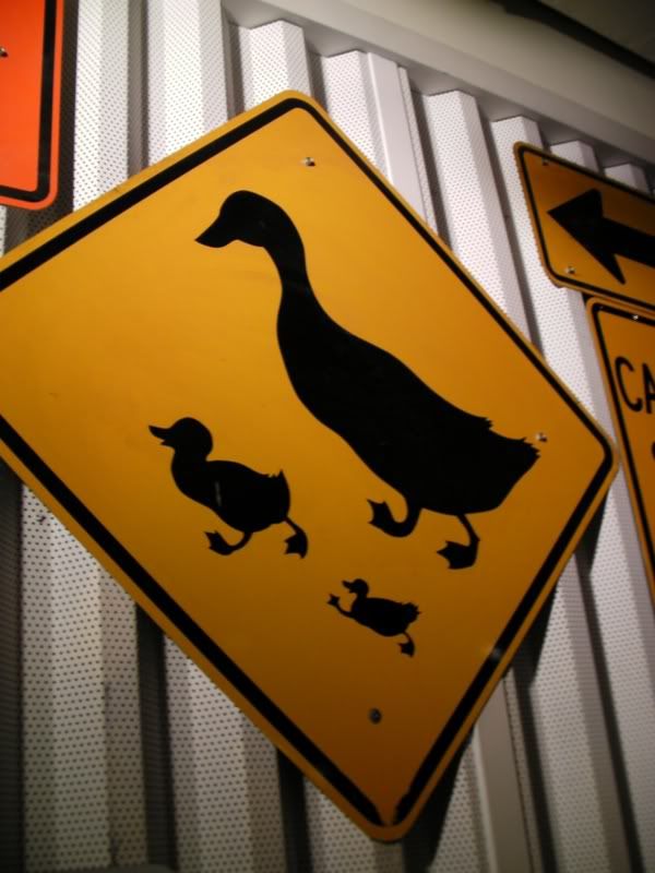 DuckCrossing.jpg