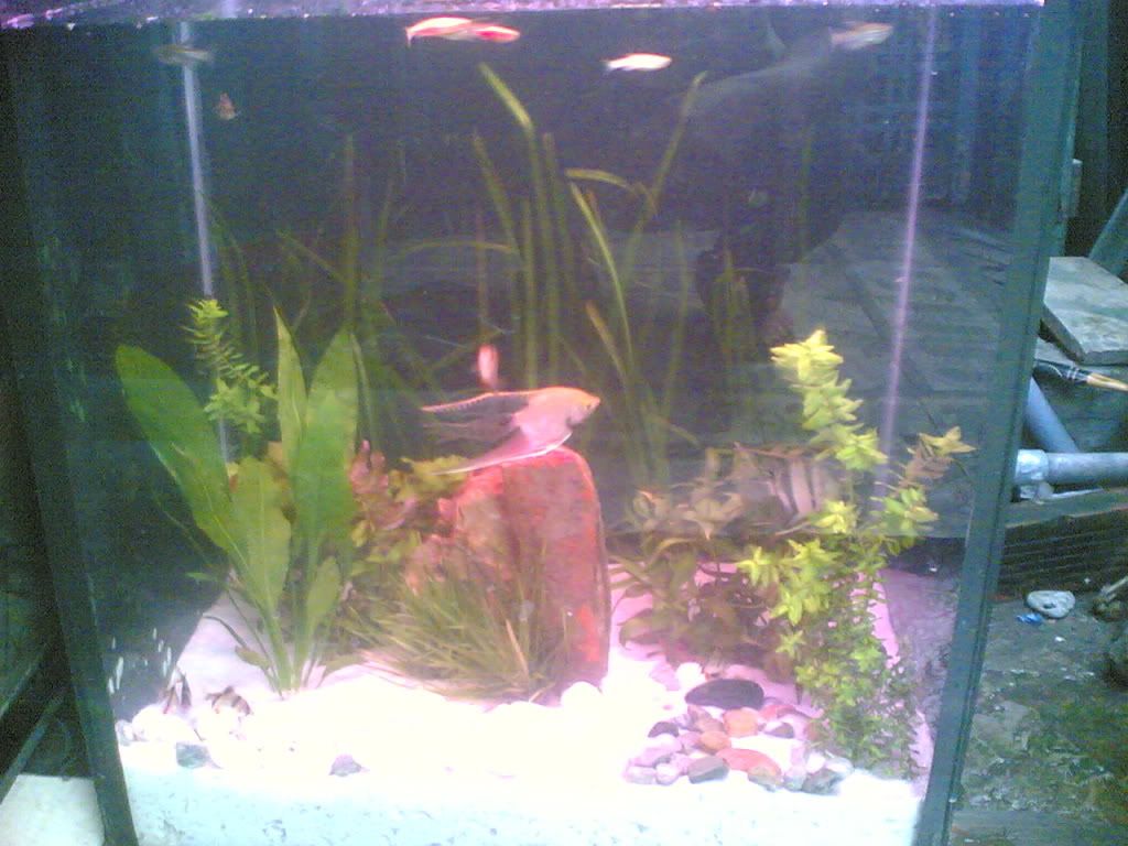 HCM-Cung cấp hồ đã qua sử dụng - 2