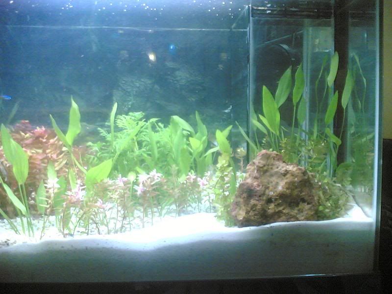 HCM-Cung cấp hồ đã qua sử dụng - 2