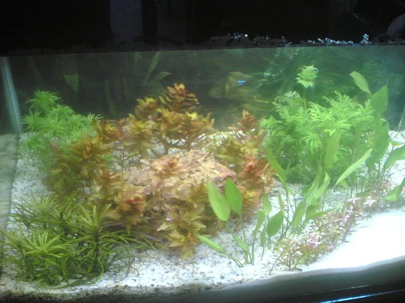 HCM-Cung cấp hồ đã qua sử dụng - 1