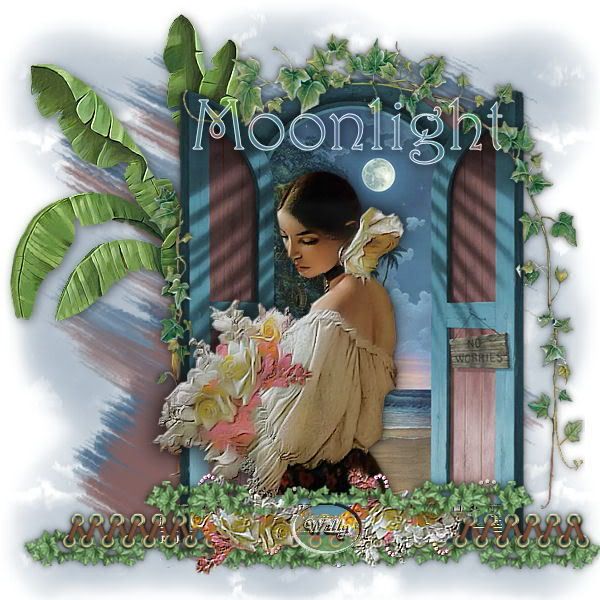Moonlight Pictures, Images and Photos
