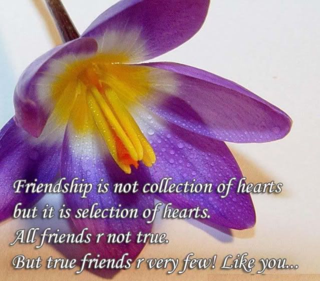 quotes about friendship and love. freinds quotes sayings Myspace