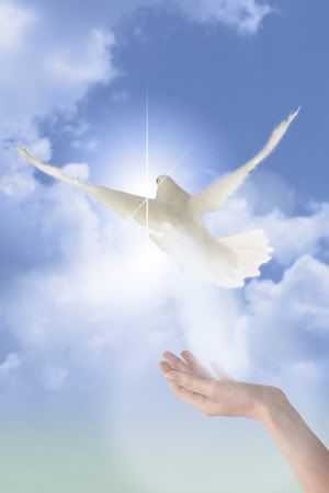 reiki_peaceful_spirit_dove.jpg Holy Angels image by astroanswers