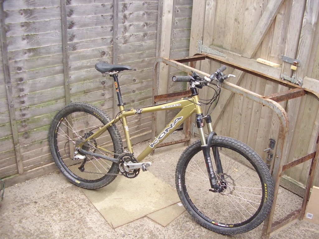 Mongoose012.jpg