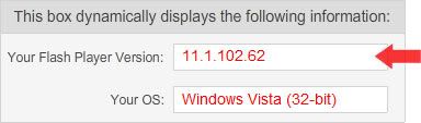 Flash Player information