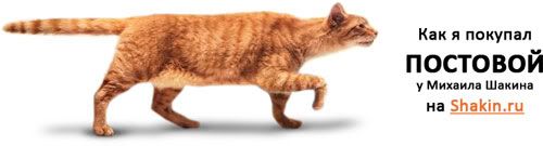 Как я покупал постовой у Михаила Шакина (a.k.a. globator) на Shakin.ru