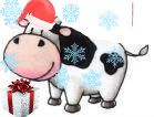 christmas cow Pictures, Images and Photos