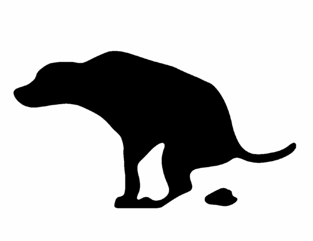 dog-pooping.gif