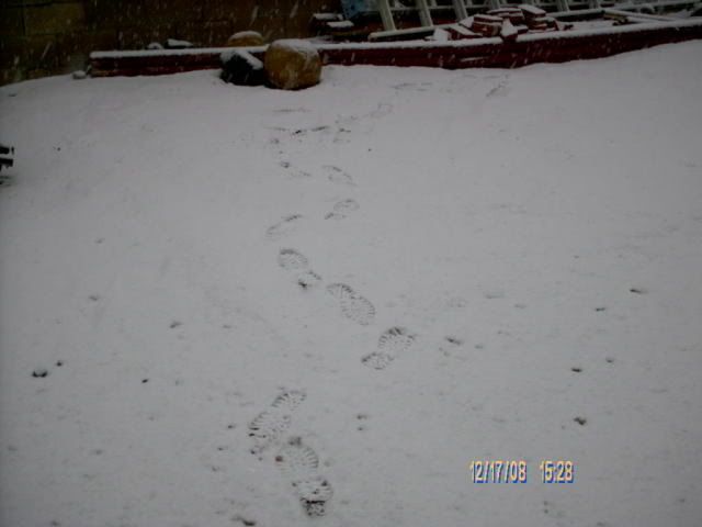 IMAG0039.jpg