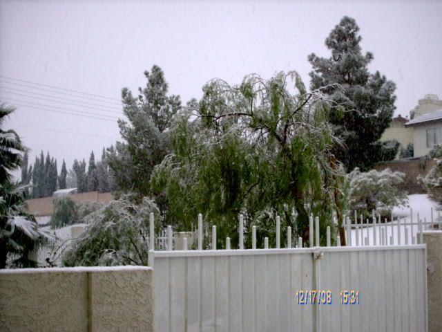 IMAG0047.jpg