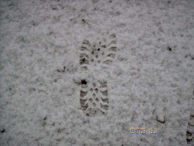 IMAG0049.jpg