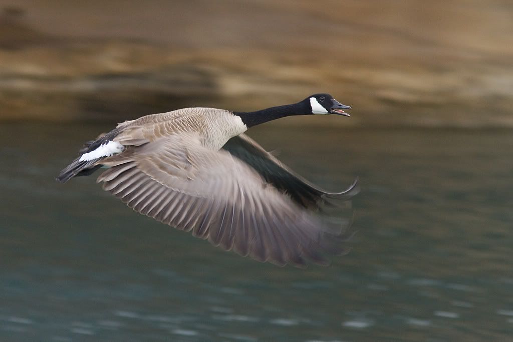 IMAGE: http://i277.photobucket.com/albums/kk54/da_nige/1MG_5390e.jpg