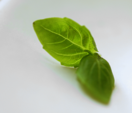 basil