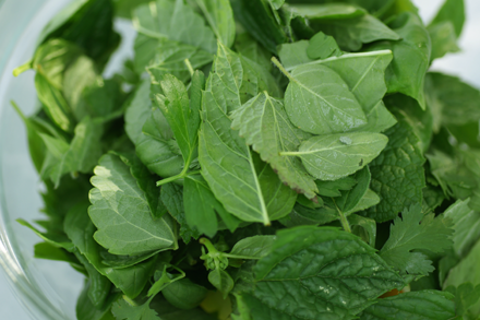 mixed herbs
