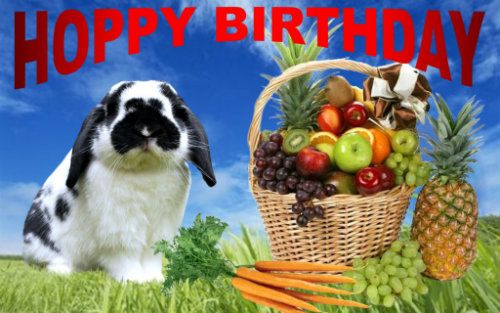 Jasons_Hoppy_Birthday_Card-1.jpg