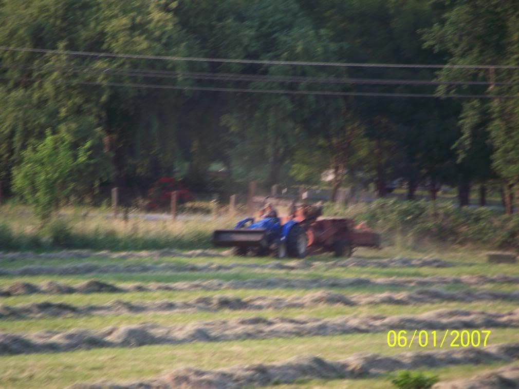 Some more Pic of our little home... - Homesteading Questions