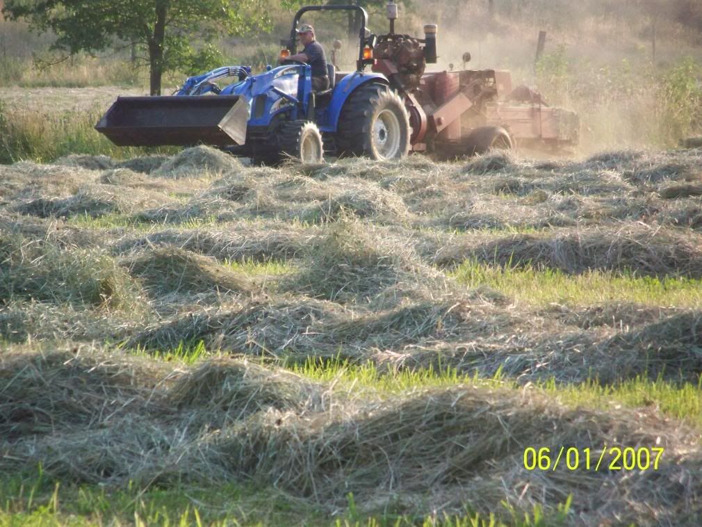 Some more Pic of our little home... - Homesteading Questions