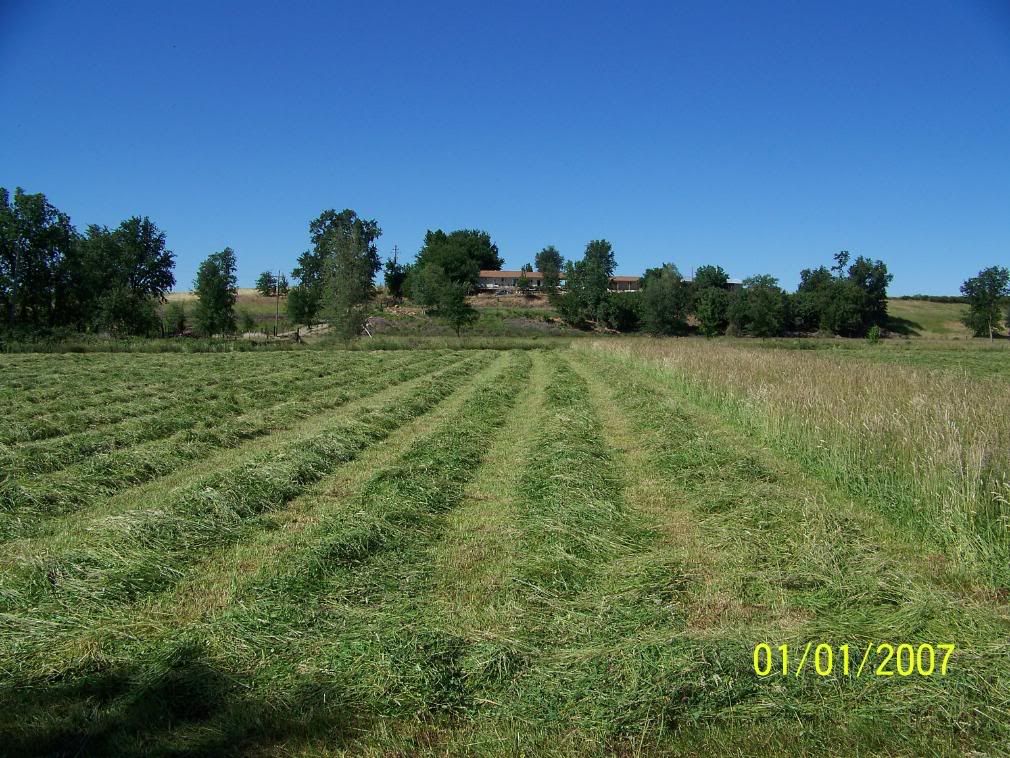 Sharing some photos of my little place - Homesteading Questions