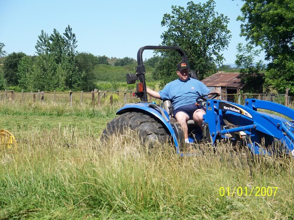 Sharing some photos of my little place - Homesteading Questions