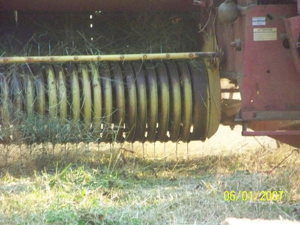 Some more Pic of our little home... - Homesteading Questions