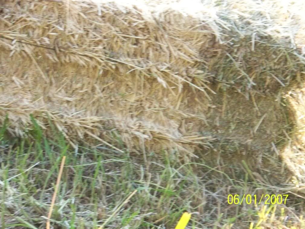 Some more Pic of our little home... - Homesteading Questions