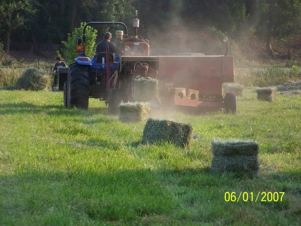 Some more Pic of our little home... - Homesteading Questions