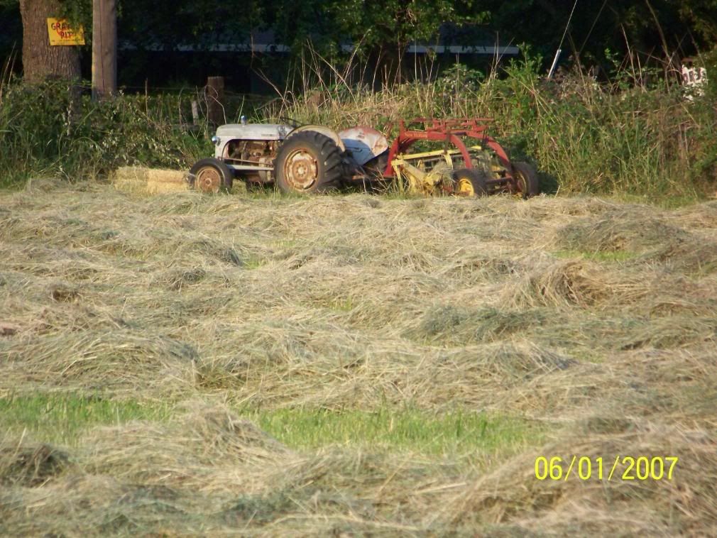 Some more Pic of our little home... - Homesteading Questions