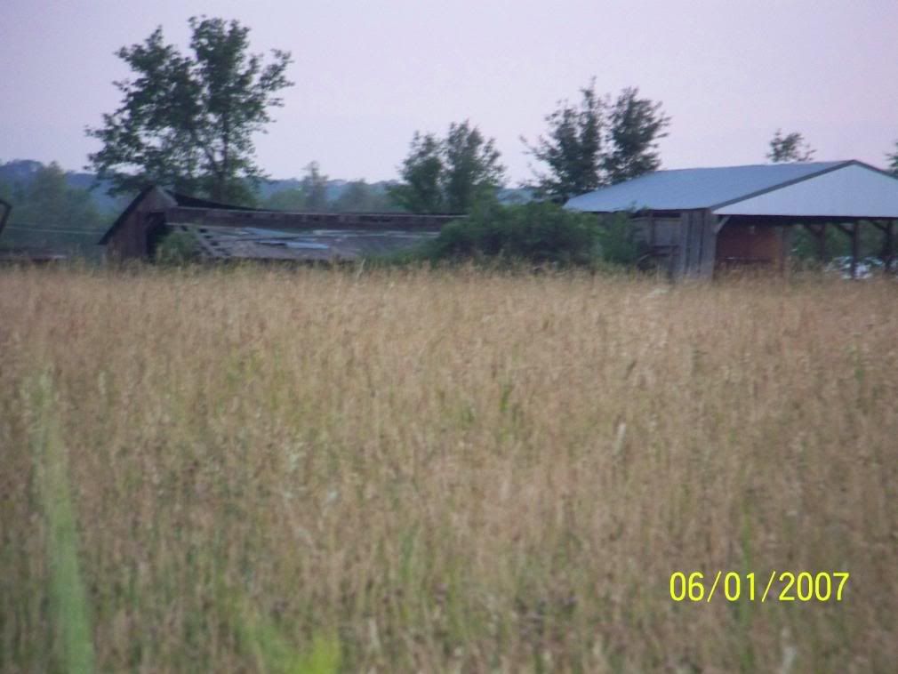 Some more Pic of our little home... - Homesteading Questions